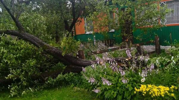 Мощные дожди и ветер оставили без света 175 населенных пунктов на Витебщине - Sputnik Беларусь