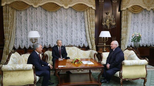 Встреча Александра Лукашенко с председателем Государственной думы России Вячеславом Володиным - Sputnik Беларусь