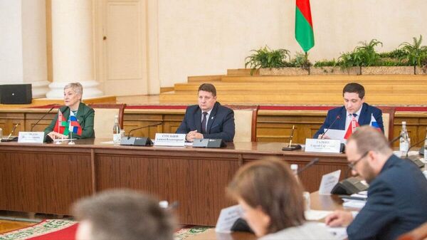 Заседание Статистического совета Белстата и Росстата - Sputnik Беларусь