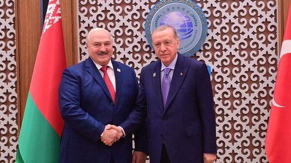 Президент Беларуси Александр Лукашенко и президент Турции Тайип Реджеп Эрдоган - Sputnik Беларусь