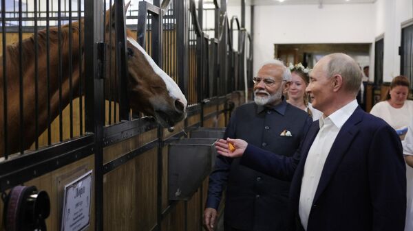 Президент РФ Владимир Путин и премьер-министр Индии Нарендра Моди во время совместного посещения конюшни в резиденции Ново-Огарево - Sputnik Беларусь