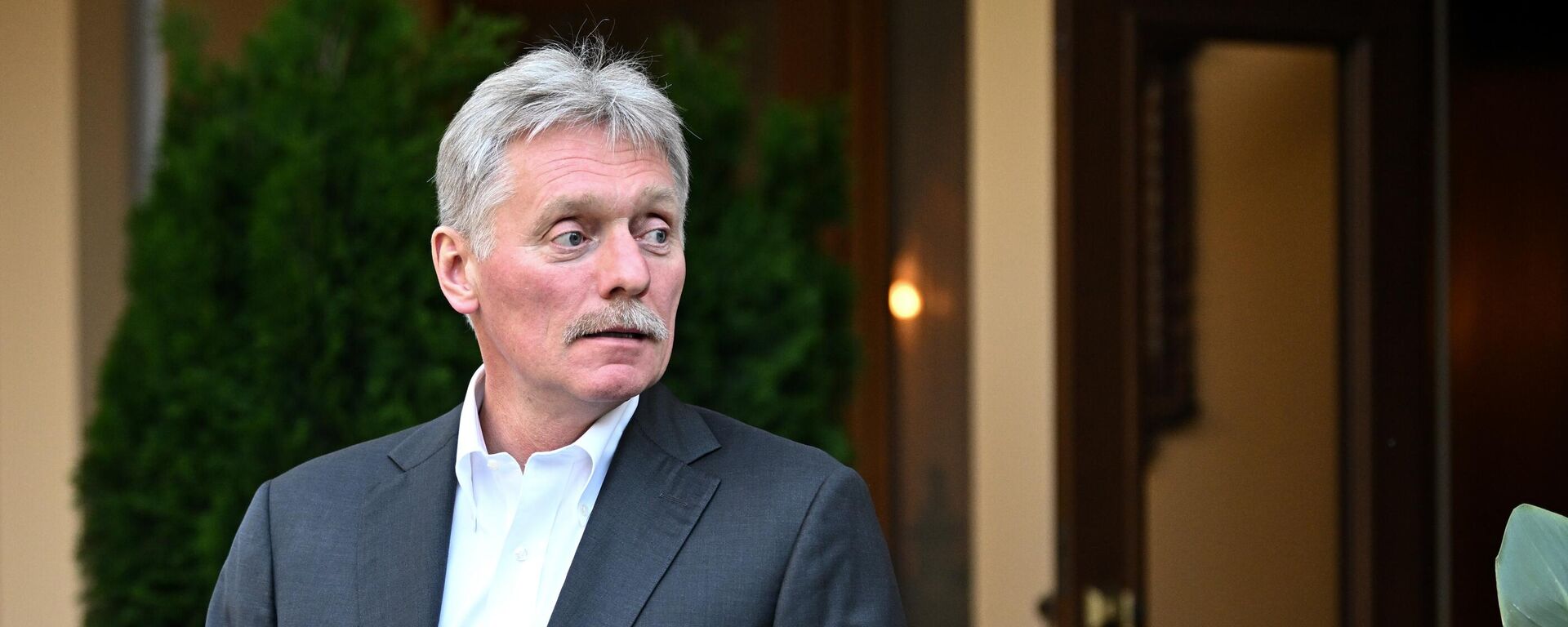 Пресс-секретарь президента РФ Дмитрий Песков - Sputnik Беларусь, 1920, 15.12.2025