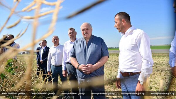 Все должно быть вылизано: Лукашенко решил взяться на Минский район (видео) - Sputnik Беларусь