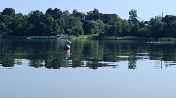 Водоем - Sputnik Беларусь