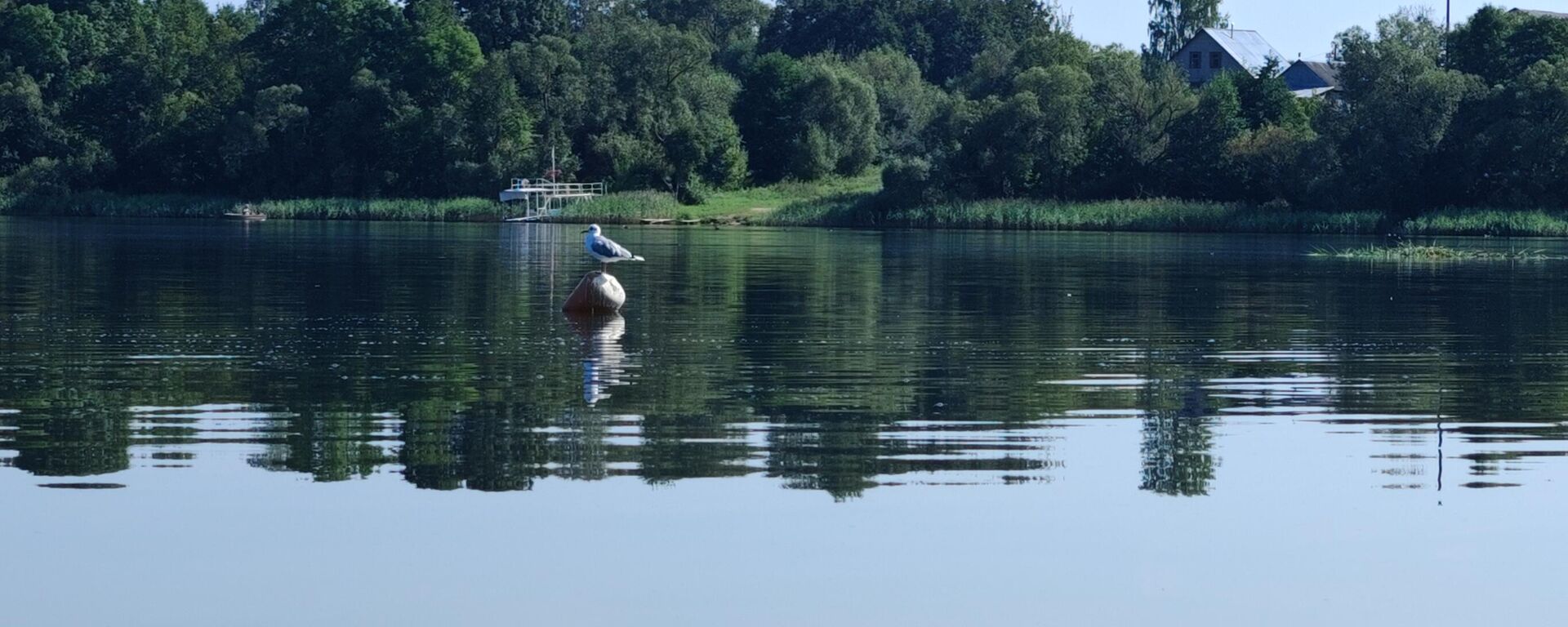 Водоем - Sputnik Беларусь, 1920, 07.09.2025
