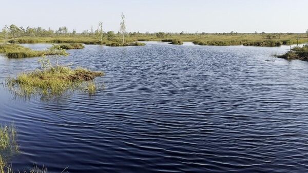 Легкие Европы: как выглядит самое большое верховое болото в Беларуси (видео) - Sputnik Беларусь