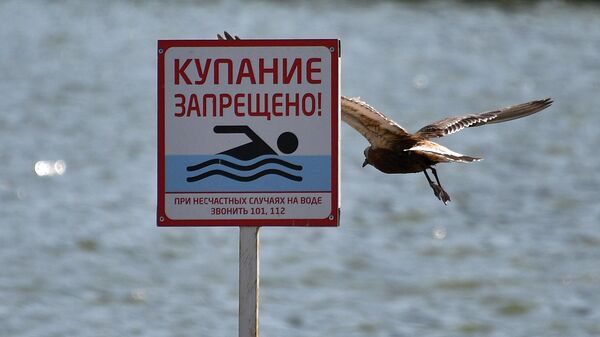 Табличка Купание запрещено - Sputnik Беларусь
