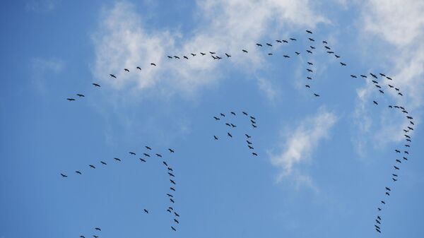 Белгидромет: незначительное ухудшение качества воздуха зафиксировано в Минске