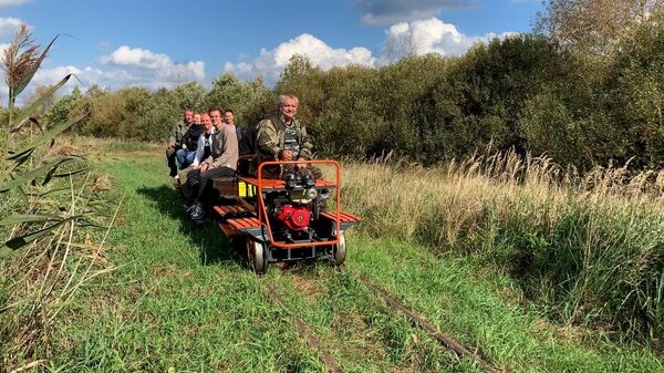 По узкоколейке к древним болотам: необычный маршрут открылся в Беларуси - Sputnik Беларусь