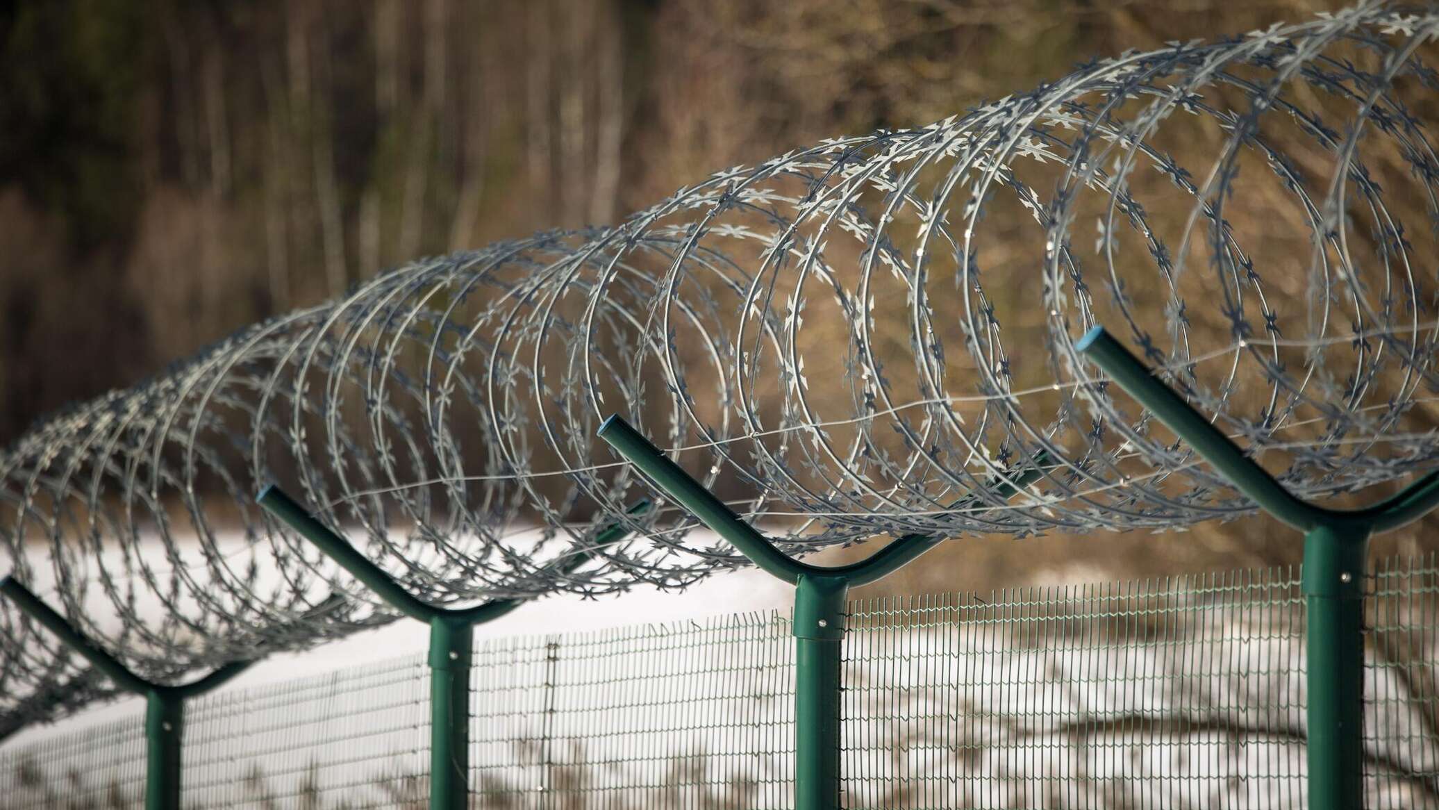 СК: латвийцы продолжают избивать мигрантов на границе СК: латвийцы продолжают избивать мигрантов на границе