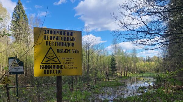 Дрибинское захоронение - Sputnik Беларусь