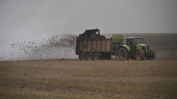 Осенние полевые работы - Sputnik Беларусь