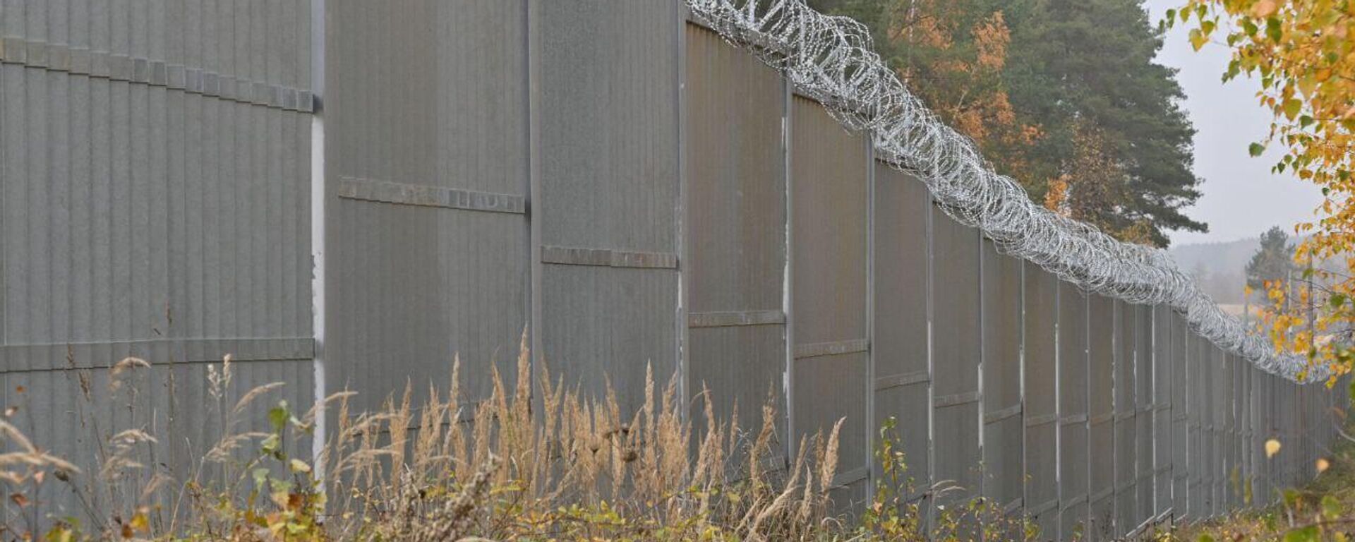 Белорусско-польская граница - Sputnik Беларусь, 1920, 15.09.2025