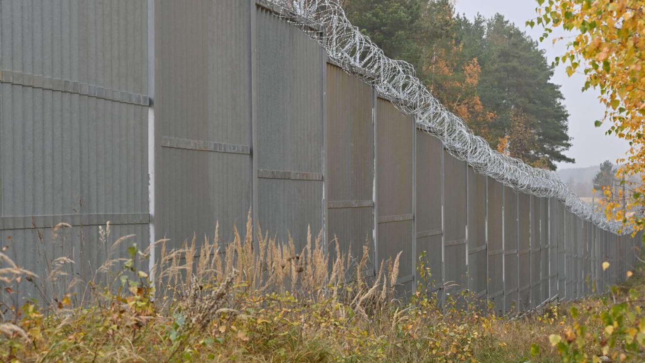 СМИ: Польша строит второе заграждение на границе с Беларусью СМИ: Польша строит второе заграждение на границе с Беларусью