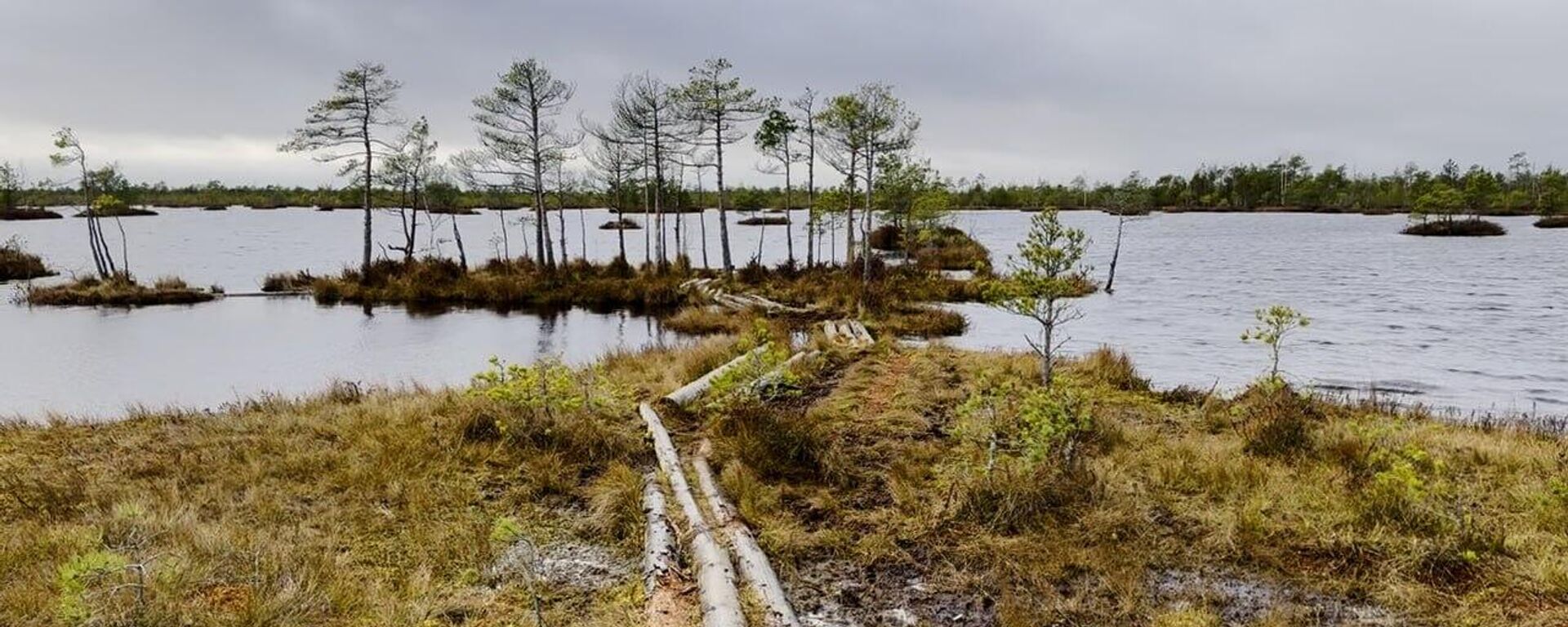 Почувствовать себя полесским робинзоном можно и на севере Беларуси  - Sputnik Беларусь, 1920, 09.11.2024