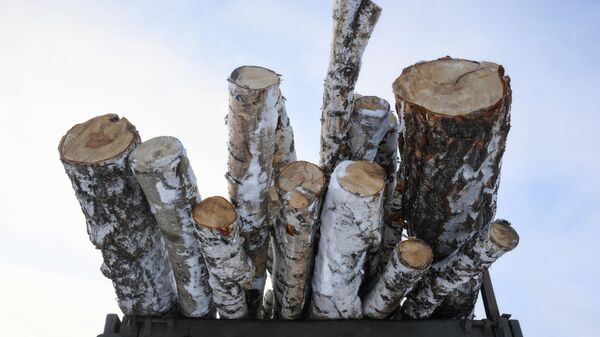 Дрова, архивное фото - Sputnik Беларусь