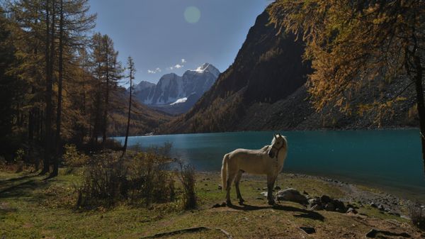 Осень в Горном Алтае, архивное фото - Sputnik Беларусь