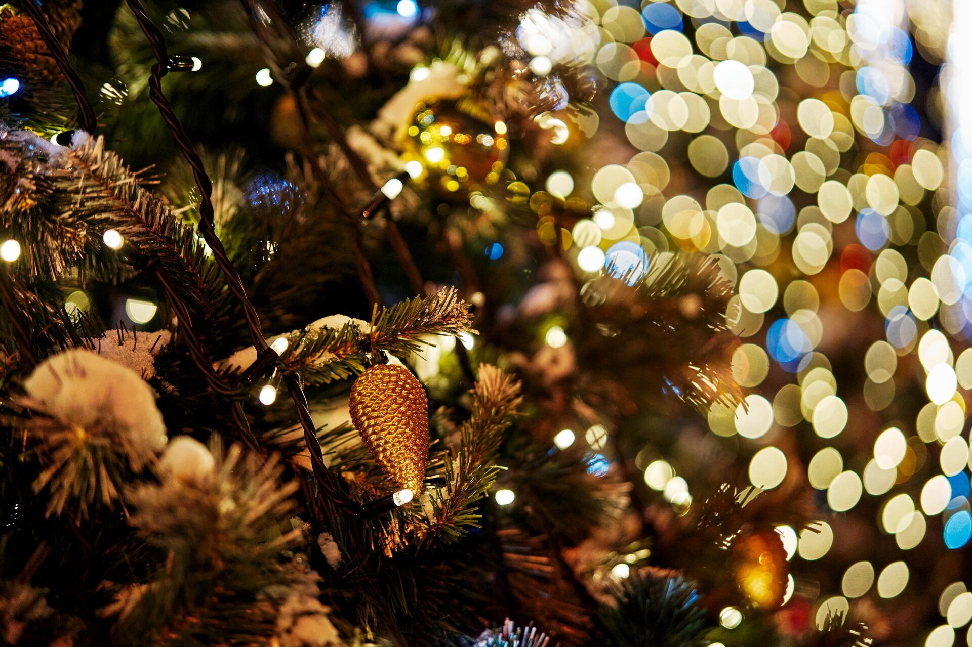 Новогодние огни - Sputnik Беларусь, 1920, 09.12.2025