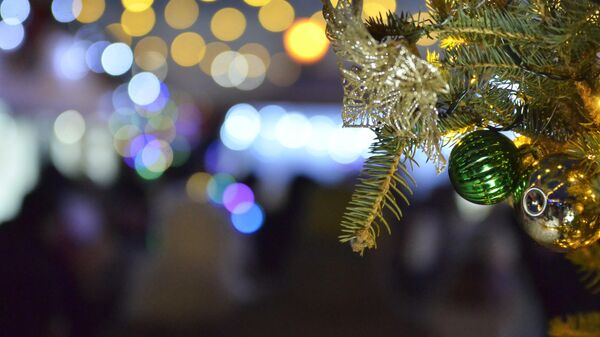 Игрушки на новогодней елке в Гомеле - Sputnik Беларусь