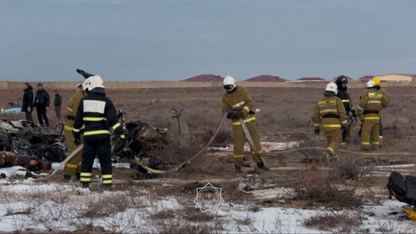 Предварительной причиной крушения в Росавиации назвали столкновение лайнера со стаей птиц. - Sputnik Беларусь