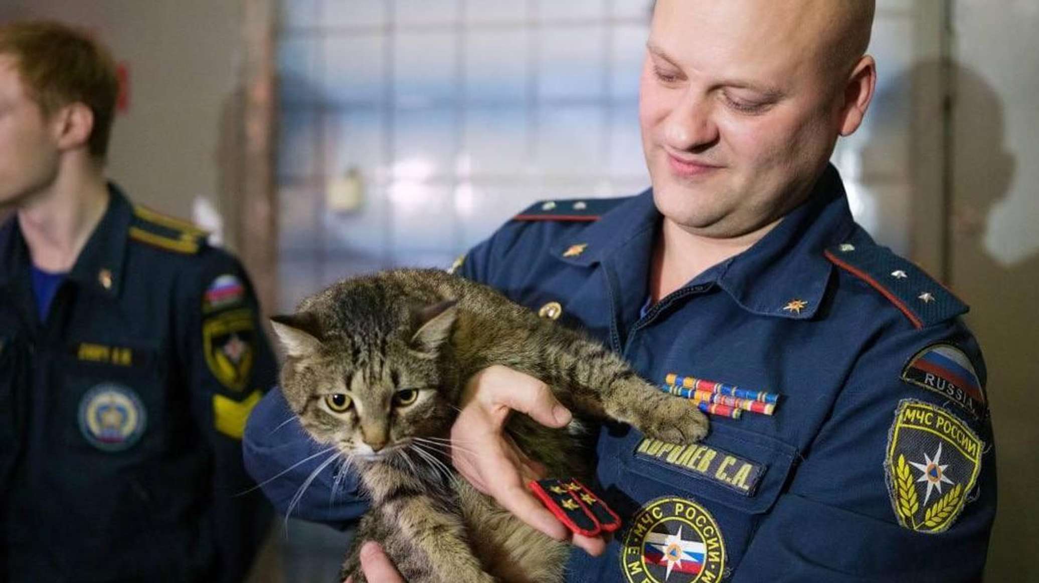 Спасатели в Дмитровском округе вызволили котенка из трубы