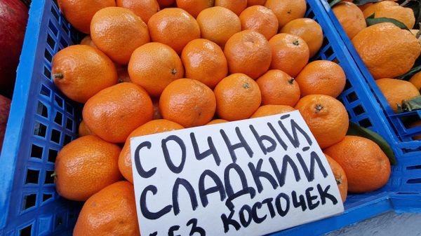 Предновогодняя Комаровка: елки, мандарины и золотая голубика - Sputnik Беларусь