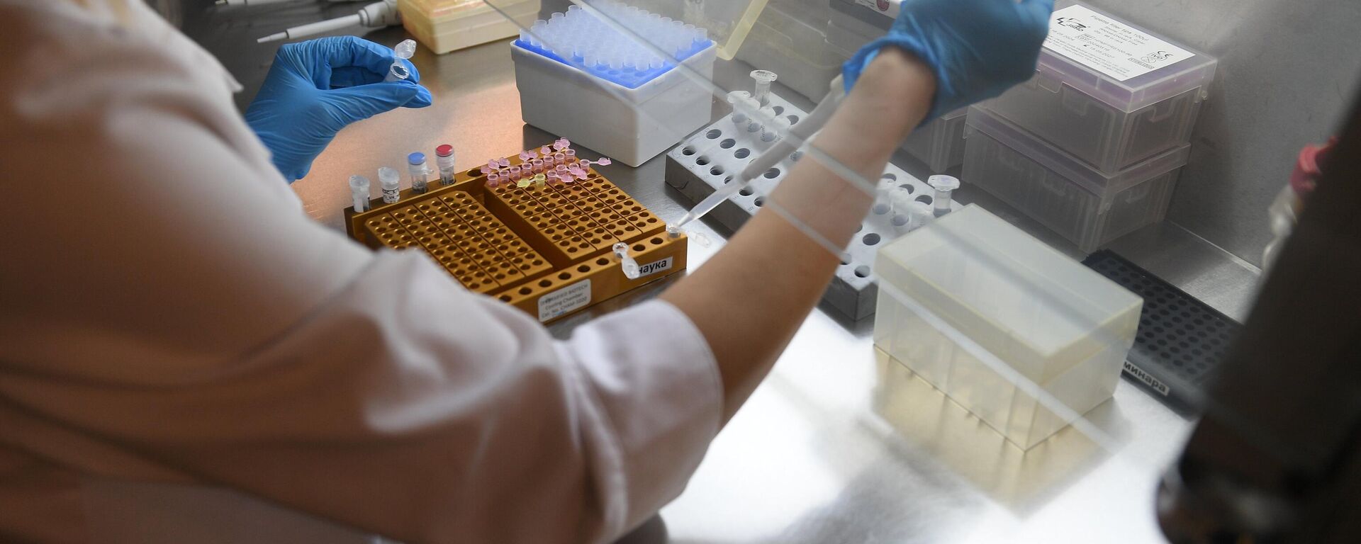 Лечение рака, архивное фото - Sputnik Беларусь, 1920, 29.04.2026