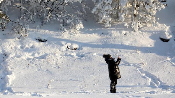 Зима в Сибири - Sputnik Беларусь