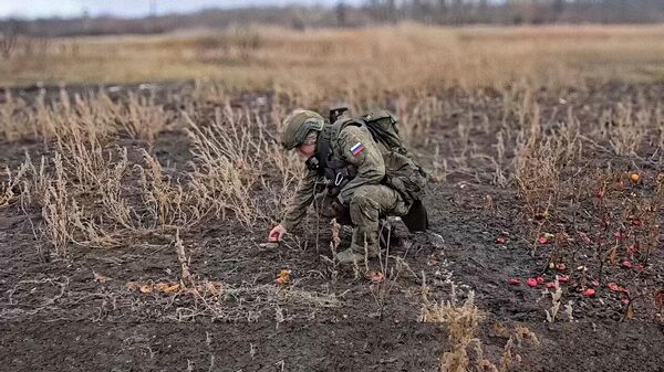 Взрыв на месте: опасная работа саперов в освобожденных районах – видео - Sputnik Беларусь