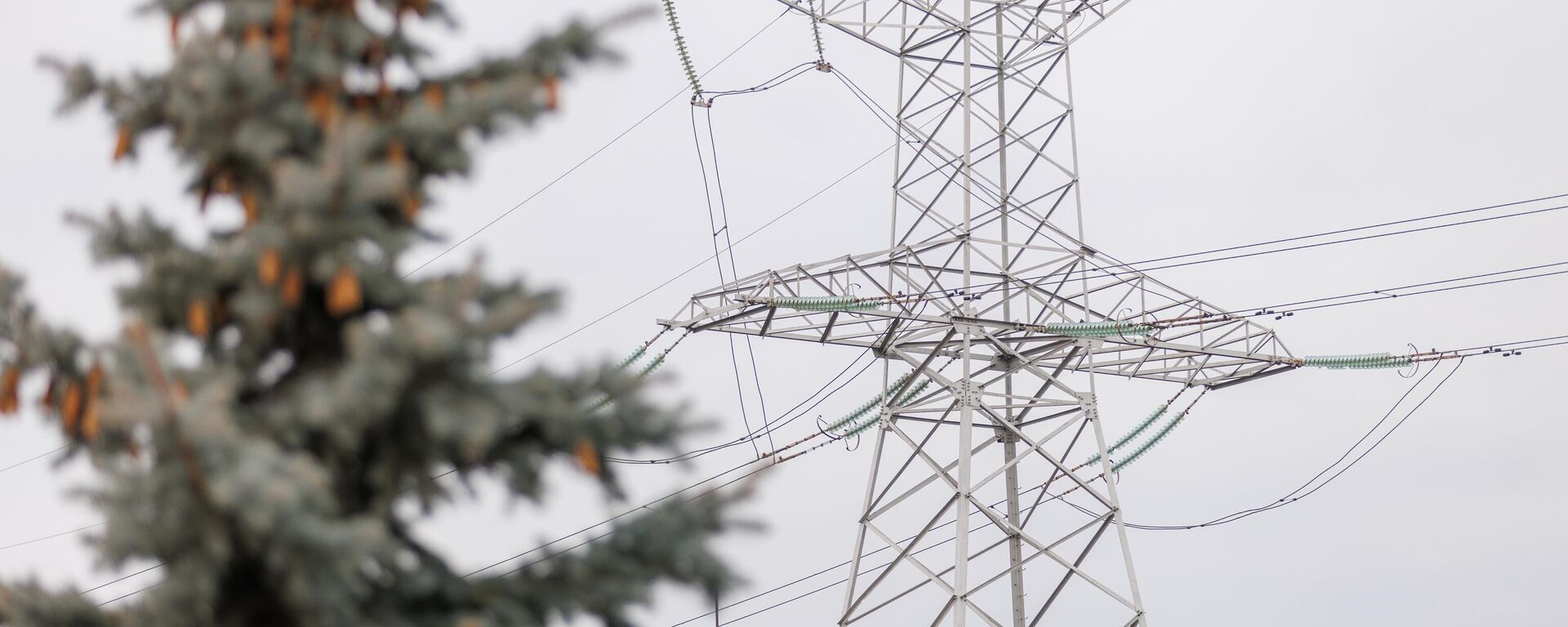 ЛЭП - Sputnik Беларусь, 1920, 06.03.2026