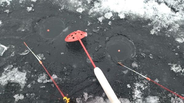 Зимняя рыбалка - Sputnik Беларусь