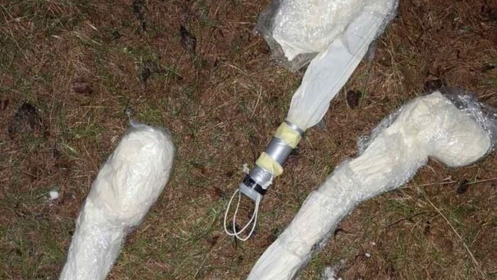 Изъятые метеозонды - Sputnik Беларусь, 1920, 03.03.2025