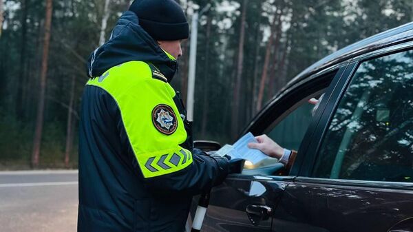 Инспектор ГАИ, архивное фото - Sputnik Беларусь