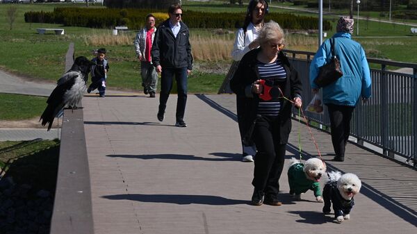 Апрель в Минске  - Sputnik Беларусь