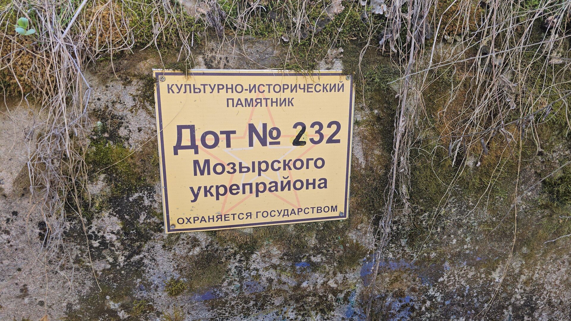 Дот №232 Мозырского укрепрайона Дот №232 Мозырского укрепрайона - Sputnik Беларусь, 1920, 07.05.2025
