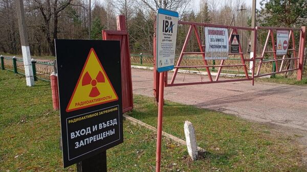 Беларусь и Япония могут возобновить сотрудничество в области ядерных ЧС