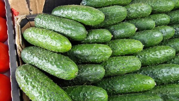огурцы - Sputnik Беларусь