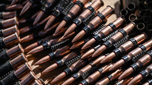 Патроны - Sputnik Беларусь