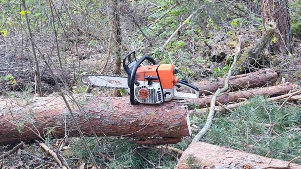 На месте ЧП - Sputnik Беларусь