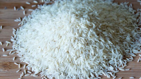 Рис - Sputnik Беларусь