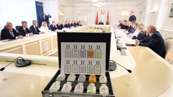 Совещание по вопросам обращения с отходами и использования вторичных материальных ресурсов 20 мая 2025 года - Sputnik Беларусь