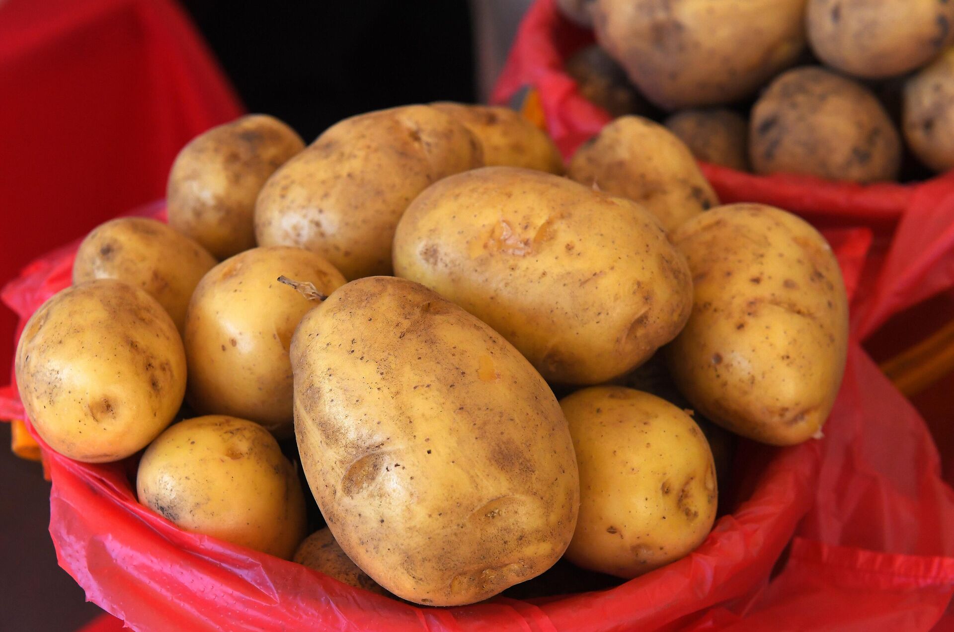 Картофель - Sputnik Беларусь, 1920, 21.05.2025