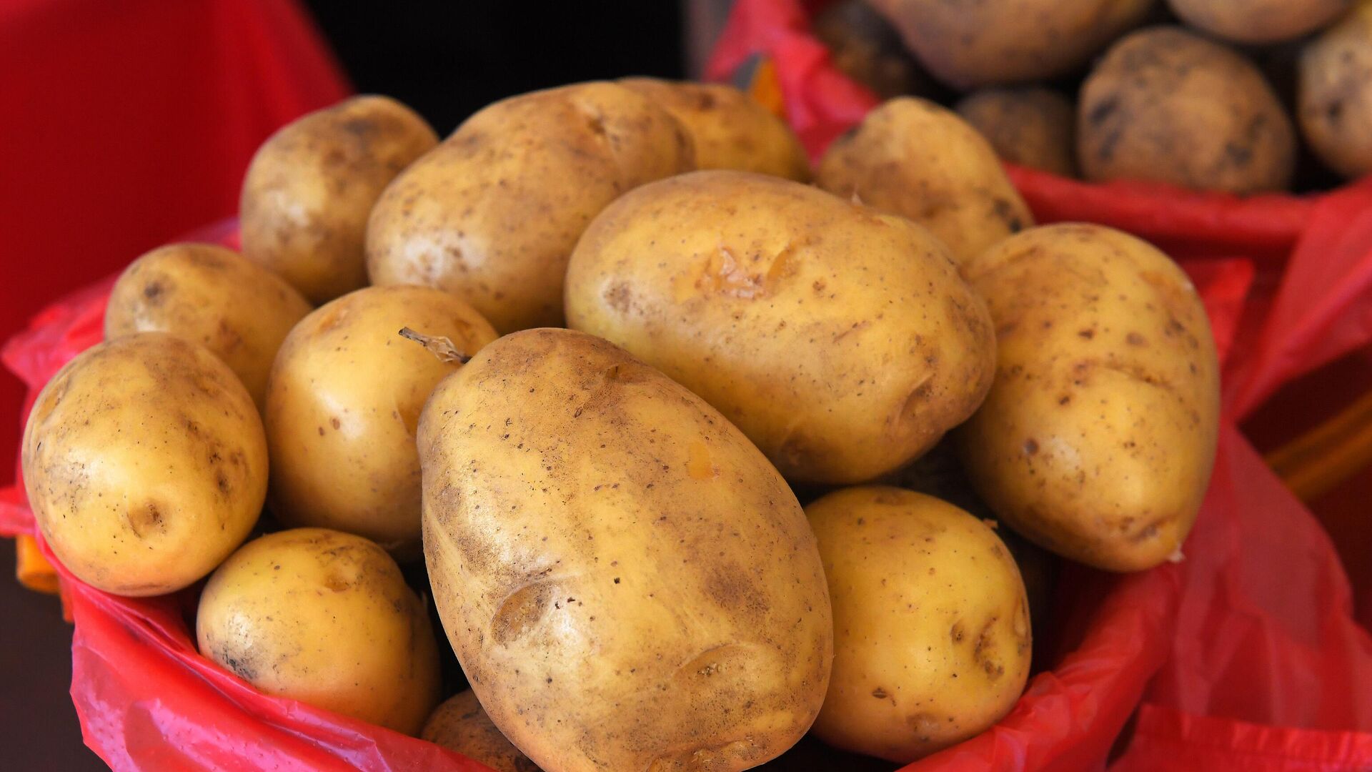 Картофель