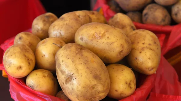 Селекционер рассказал о сложностях продвижения белорусского картофеля в РФ