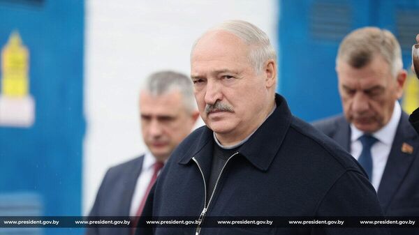 Президент Беларуси Александр Лукашенко во время рабочей поездки в Петриковский район - Sputnik Беларусь