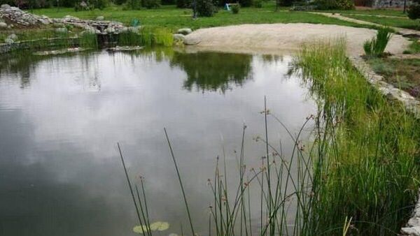 В искусственном водоеме на территории садового товарищества в Витебском районе погиб ребенок 2018 года рождения - Sputnik Беларусь