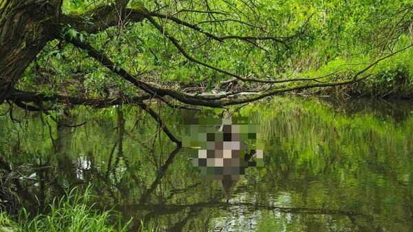 Белоруска утонула в реке Лошица - Sputnik Беларусь