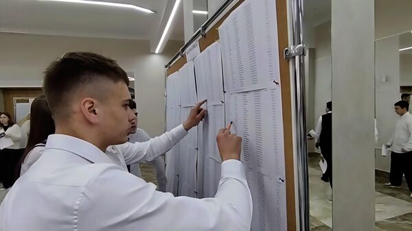 Как прошел первый ЦЭ в Беларуси – видео - Sputnik Беларусь