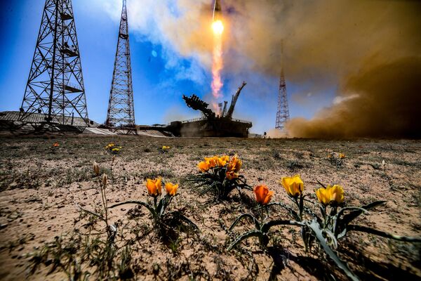 Запуск ракеты-носьбіта "Союз-2.1а" з караблём "Союз МС-27" з касмадрома Байканур. Пуск прысвечаны 80-годдзю Перамогі ў Вялікай Айчыннай вайне. "Союз-2.1а" атрымаў назву "Ракета Победы", яго ўпрыгожылі святочнай сімволікай. Красавік 2025 года. Запуск ракеты-носьбіта "Союз-2.1а" з караблём "Союз МС-27" з касмадрома Байканур. Пуск прысвечаны 80-годдзю Перамогі ў Вялікай Айчыннай вайне. "Союз-2.1а" атрымаў назву "Ракета Победы", яго ўпрыгожылі святочнай сімволікай. Красавік 2025 года. - Sputnik Беларусь