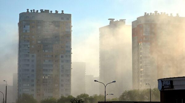 Утренний туман - Sputnik Беларусь